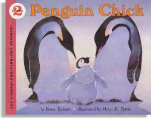 Penguin Chick