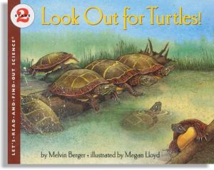 Look Out for Turtles!