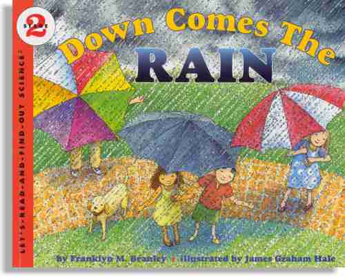 Down Comes the Rain