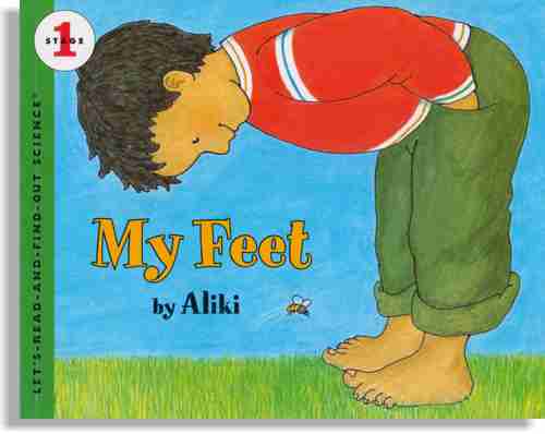 My Feet