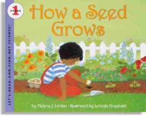 How a Seed Grows