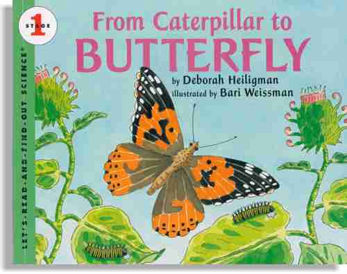 From Caterpillar to Butterfly