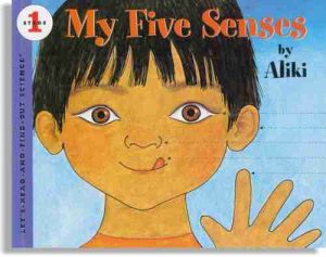 My Five Senses