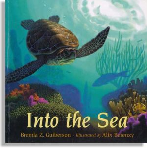 Into the Sea