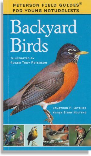 Backyard Birds