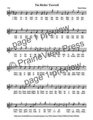 Song: The Birdies' Farewell