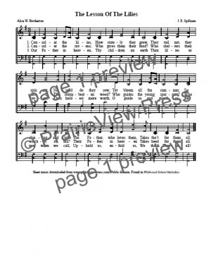 Song: The Lesson Of The Lilies