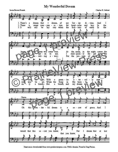 Song: My Wonderful Dream