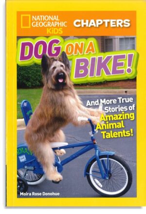 Dog On A Bike