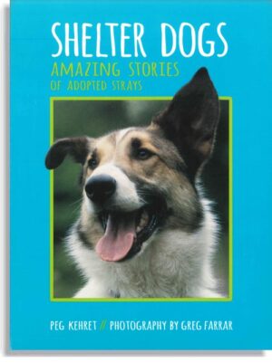 Shelter Dogs: Amazing Stories of Adopted Strays