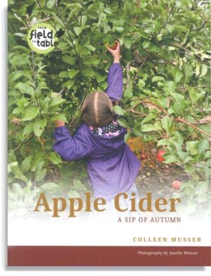 Apple Cider: A Sip  of Autumn